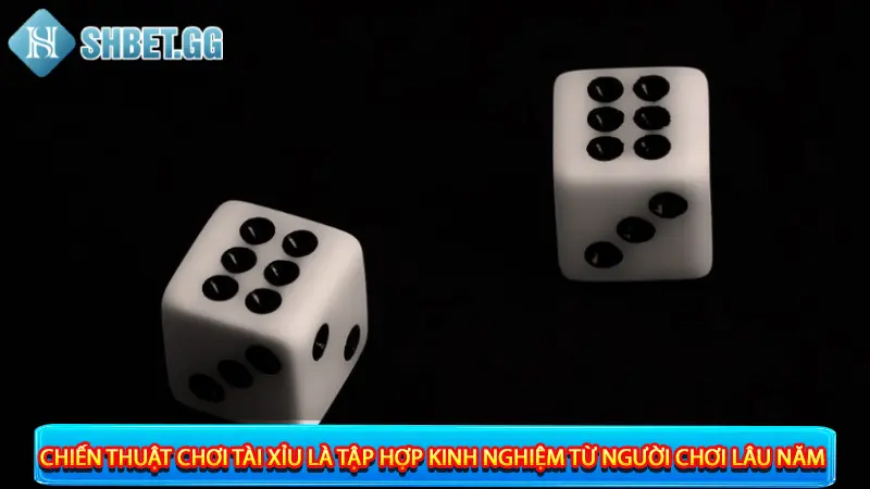 Top 05 Chiến Thuật Tài Xỉu Đánh Đâu Thắng Đó Kiếm Bộn Tiền 2 Chiến thuật chơi tài xỉu là tập hợp kinh nghiệm từ người chơi lâu năm