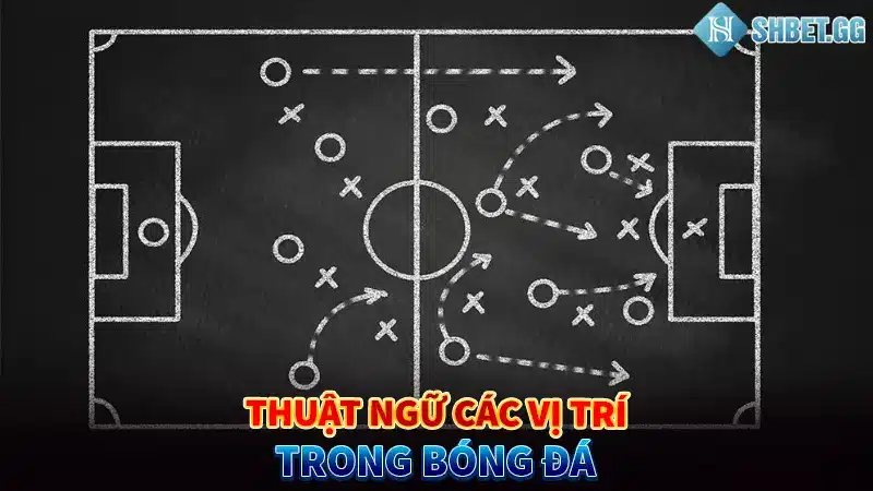 Thuật Ngữ Bóng Đá Là Gì? 5 Loại Thuật Ngữ Phổ Biến Nhất 2023 2 Thuật ngữ các vị trí trong bóng đá