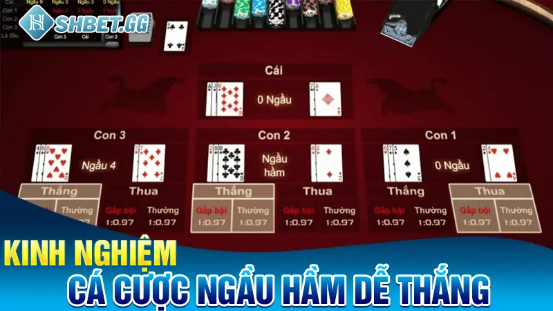 Ngầu Hầm Là Gì? Chia Sẻ Cách Cá Cược Ngầu Hầm Dễ Hiểu Nhất 4 kinh nghiệm cá cược Ngầu Hầm