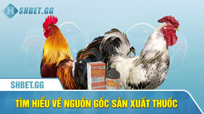 Cho gà uống thuốc gì trước khi đá để tăng tỉ lệ thắng 7 Tìm hiểu về nguồn gốc sản xuất thuốc