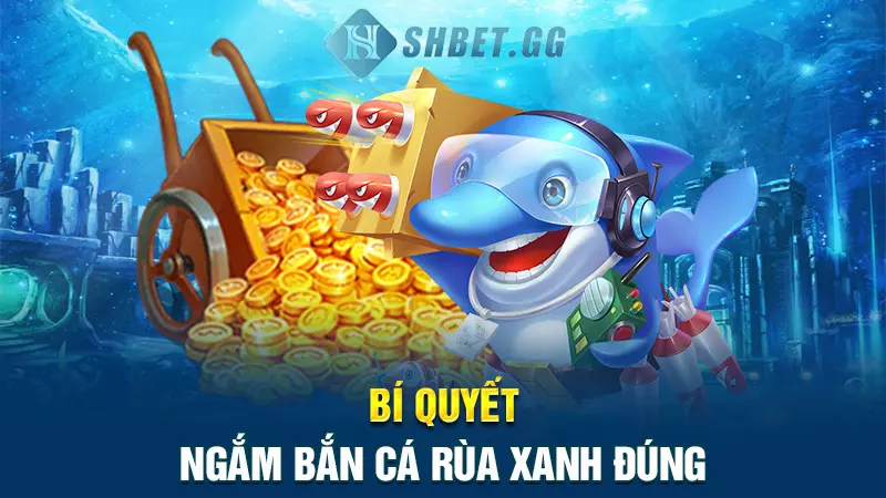 Bắn cá Rùa Xanh - Game giải trí đỉnh cao dành cho Bet thủ 7 Bí quyết giúp cược thủ bất bại mỗi lần bắn cá rùa xanh