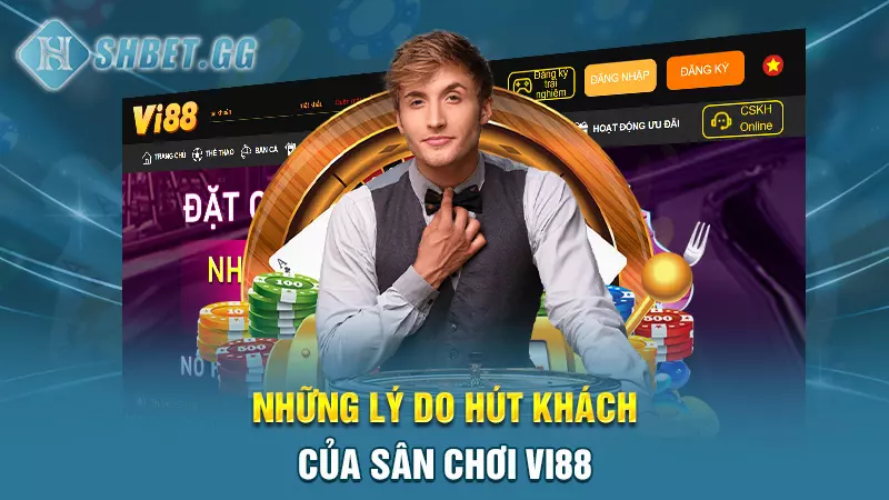 Nhà cái Vi88 - Không gian xanh chín chất lượng hàng đầu 4 Những lý do hút khách của sân chơi Vi88
