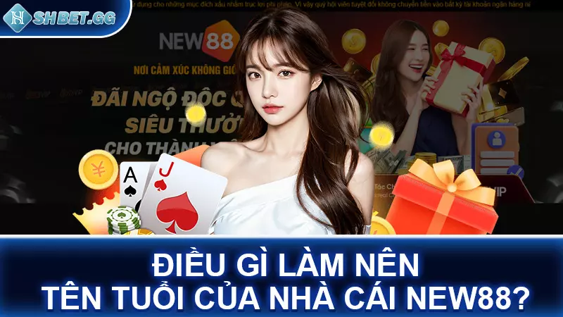 Nhà cái NEW88 - Uy tín hàng đầu đi đôi cùng chất lượng 4 Điều gì làm nên tên tuổi của nhà cái NEW88?