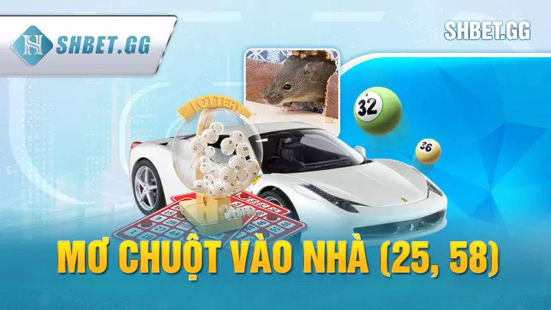 Nằm mơ thấy chuột điềm báo gì? Giải mã giấc mộng chi tiết 8 Mơ chuột vào nhà (25, 58)
