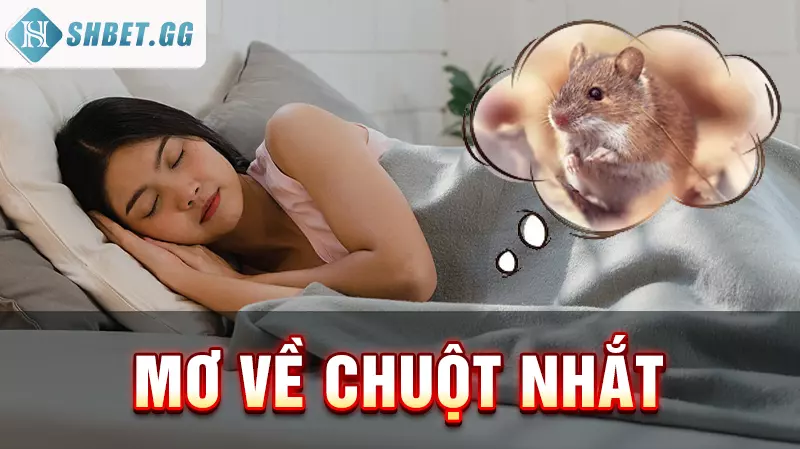 Giải mộng hàng chuột có những con gì nên đánh để thắng lớn 5 Mơ về chuột nhắt