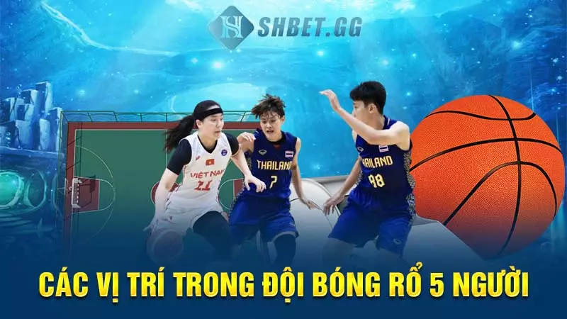 Một đội bóng rổ có bao nhiêu người và các vị trí cụ thể? 5 Các vị trí trong đội bóng rổ 5 người