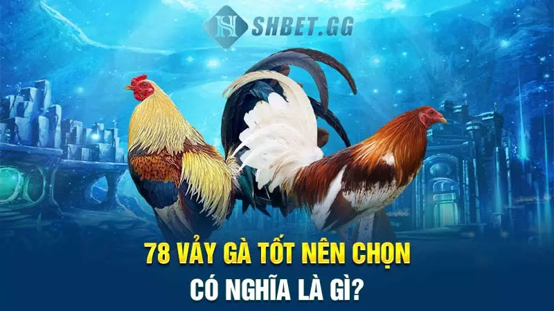 Khám phá thông tin thú vị về 78 vảy gà tốt nên chọn 3 78 vảy gà tốt nên chọn có nghĩa là gì?